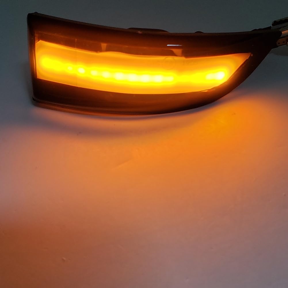 NOCHE Intermitentes Dinámicos 2 Uds. Lámpara De Espejo De Luz De Señal De Giro De Coche Dinámica LED Para Megane MK3 Para Grand Para Scenic Indicador Retrovisor