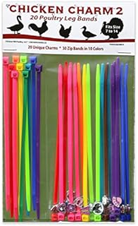 20 Chicken Charm 2 Poultry Leg Bands - Fits Sizes 6 to 14