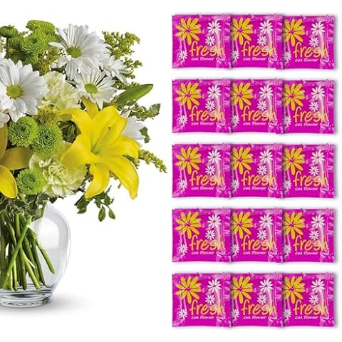 Conservateur pour fleurs coupées BekabA Cover