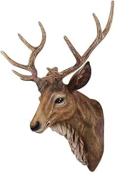 51tMgiSG3LL._AC_UF350,