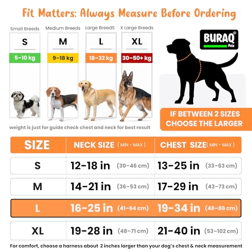 Image of Buraq Reflective Dog Harness with Leash, No-Pull Adjustable Belt Vest for Small, Medium & Large Dogs, Escape-Proof, Padded Training & Walking Harness (Red, L)