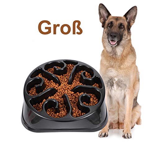 Napf Hund Die besten Produkte verglichen