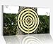 Produktbild Acrylglasbild 80x50cm Sport Dart Darts Zielscheibe Glasbild Bilder Acrylglas Acrylglasbilder Wandbild 14D537, Acrylglas Größe4:80cmx50cm
