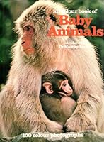 All Color Book of Baby Animals B000JGNUMU Book Cover