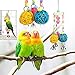 Multicolore perles oiseau jouets animaux perroquet jouets oiseau échelle perruche balançoire perceuse arc-en-ciel perruche échelle Hamster jouets