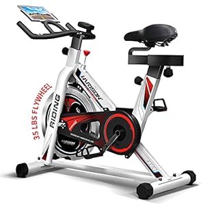 HARISON Exercise Bike Stationary Bikes for Home Use Indoor Cycling Bike with tablet Holder (B089CW6C8B)