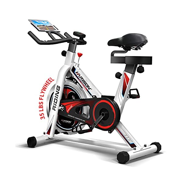 HARISON Exercise Bike Stationary Bikes for Home Use Indoor Cycling Bike with tablet Holder (B089CW6C8B)
