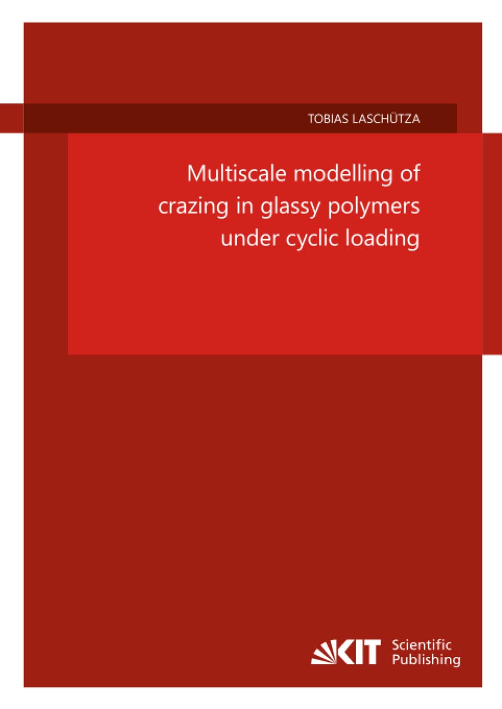 Multiscale modelling of crazing in glassy polymers under cyclic loading (Schriftenreihe des Instituts für Mechanik)