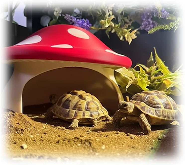 Mushroom Reptile Hide for Tortoise and Small Pets,Tortoise Hide Shelter with Cute Design, Reptile Hide Box for Vivarium (Large:18cm*13.2cm)