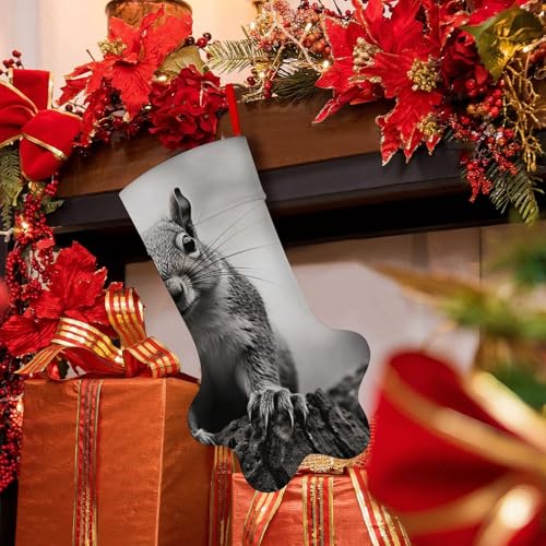 Weihnachtsstrumpf aus Polyester, Pfotenabdruck, hellgrauer Eichhörnchen-Druck, Weihnachtsstrumpf mit Pfotenabdruck, perfekte Urlaubsdekoration und Geschenktüte