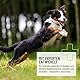 ReaVET Grasmilben-Spray für Hunde 500ml - Schutz, Abwehr & Pflege bei Grasmilben I Milbenspray Sofortschutz gegen Grasmilben & Parasiten - Beruhigt gereizte Haut & lindert Juckreiz