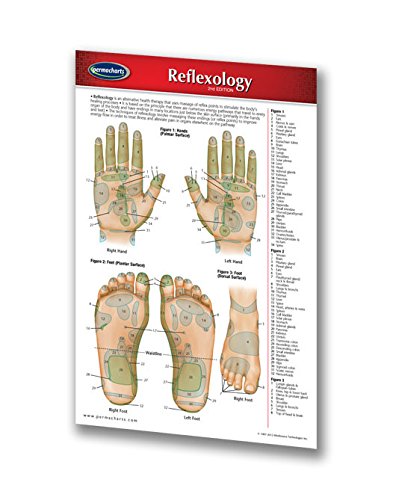Reflexology Guide - Pocket Chart - Medical Quick Reference Guide by Permacharts