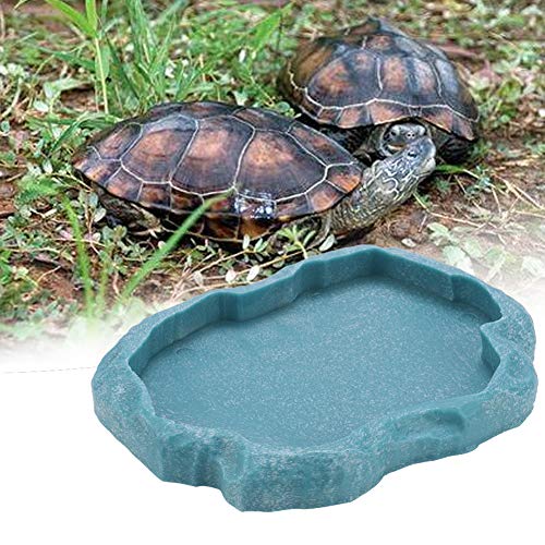Feeder ABS Hars Duurzame Reptile Rock Voedsel en Waterschotel Feeder Bowl voor Schildpad Hagedis (M-sky blue) - Afbeelding 4