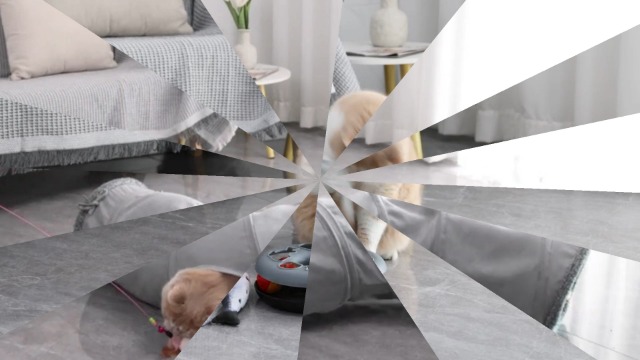 Tunnel Per Gatti, Giocattoli Per Gatti Da Interno Adulti, Set Di
