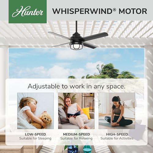 Image of Hunter Searow, Outdoor or Indoor, Ceiling Fan, Quiet, 54 inch, Matte Black