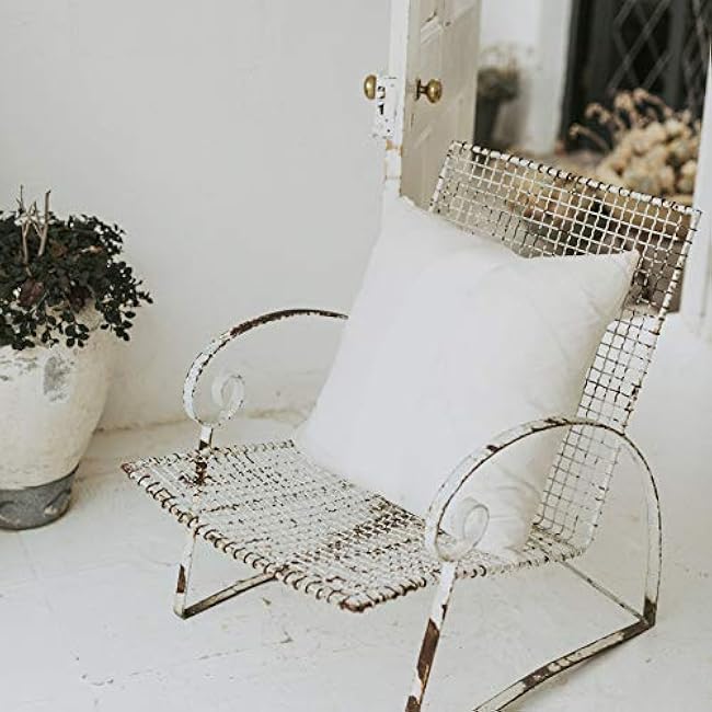 EDOW Luxury Throw Pillow Insert, Soft Fluffy Down Alternative Polyester Square Form Decorative Pillow Insert,Sham Stuffer,Cotton Cover for Sofa, Couch,Bed and Car. (White, 24x24)