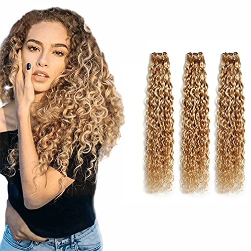 JcziJcx Brazilian water Wave Bundles Ombre Sew in Piano Color P27/613 Hair Bundles Virgin Human Hair 3 Bundles Remy Hair Weft Unprocessed Ombre Extensions 18 20 22 Inch