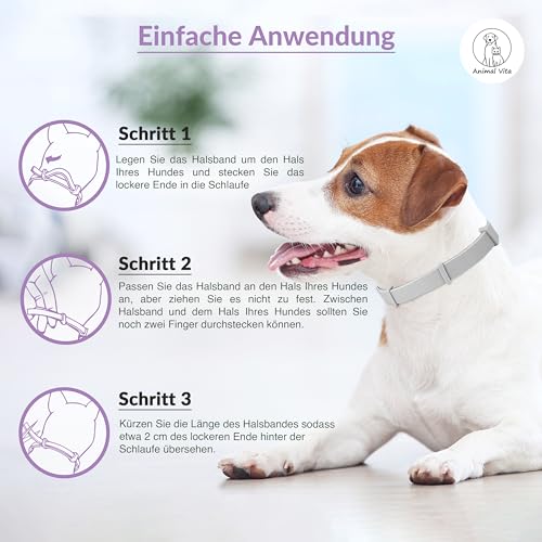 Animal Vita® Lavendel Zeckenhalsband für Hunde [Effektiver Schutz vor Ungeziefern] wasserdicht und verstellbar - bis zu 8 Monate Zeckenschutz mit 100% natürlichen Inhaltsstoffen, Lavendel