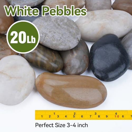 Image of Pulovin 20 lbs River Rocks for Landscaping, Plants, 3-4 Inch Polished Rocks