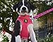 EcoBark Dog Harness - Eco-Friendly Max Comfort Harnesses - Luxurious Soft Mesh Halter - Over The Head Harness Vest- No Pull and No Choke for Small, Toy Breed, and Teacup Dogs (XS, Fuchsia Pink)