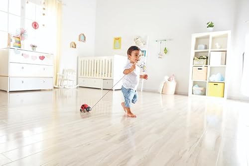 Hape Nachziehkäfer Marie aus Holz, Ziehspielzeug für Kinder ab 12 Monaten
