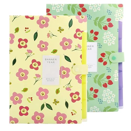 Image of Corslet File Folder for Documents A4 Size Paper Office Students Certificate Holder Storage Organizer 5 Pockets (Pack of 2)