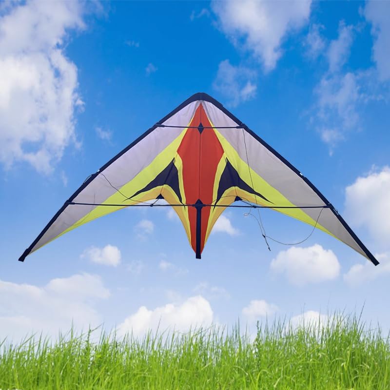 Folding Dual Line Stunt Kite, Delta Shape Sport Kite with Colorful Design, 62.99x28.14 Inch Wingspan, Outdoor Flying Kites for Beach and Park