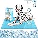 Tappetino Refrigerante per Cani e Gatti Tappeto Rinfrescante in Gel XL 60 x 100 cm, Materassino Refrigerante per Animali, Cuscino Perfetto per Cani e Gatti in Estate