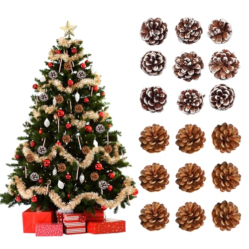 50 Stück Tannenzapfen Deko 2–3 cm – 20 Natürliche Kiefernzapfen...