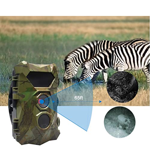 BESPORTBLE Câmera de rastreamento de caça à prova d'água, sensores infravermelhos, câmera de trilha