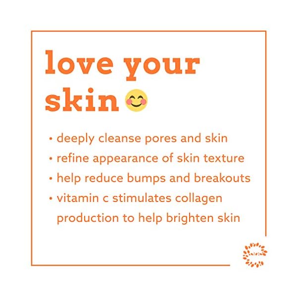 Eve-Hansen-Vitamin-C-Face-Wash-HUGE-8-oz-Anti-Aging-Skin-Cleanser-for-Dark-Circles-Age-Spots-and-Fine-Lines-Blackhead-Remover-Hyperpigmentation-Treatment-Pore-Minimizer-Gel-Face-Cleanser Eve Hansen Vitamin C Cleanser Face Wash - Natural Face Soap with Aloe Vera, Vitamin E & Rosehip Oil - Refreshing, Gentle, Moisturizing, Cruelty-Free Skincare 8 oz