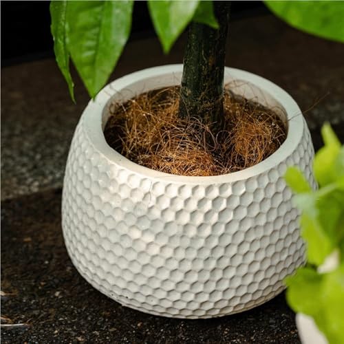 Jardinières pour arbres Yananzi grands pots de fleurs design chic