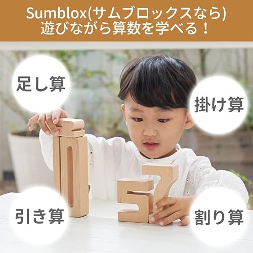 サムブロックス スターターセット 関連画像 2