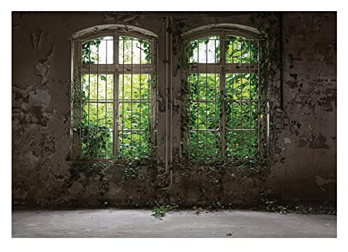 WallArena - Vlies Fototapete Fenster Pflanzen Blätter Vintage Betonoptik...