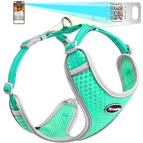 ThinkPet Hundemarke, reflektierend, atmungsaktiv, weiches Air-Mesh mit QR-Code, Erstickungsfrei, für Welpen, kleine, mittelgroße Hunde und Katzen, klein, blaugrün