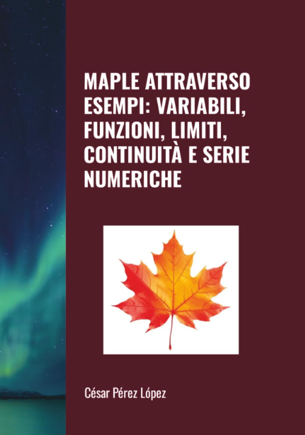 MAPLE ATTRAVERSO ESEMPI: VARIABILI, FUNZIONI, LIMITI, CONTINUITÀ E SERIE NUMERICHE