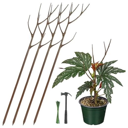 Twig Plant Support Stakes - Set of 4, 27.5 inch | Detachable Trellis for Potted Plants | Perfect Alternative to Moss Pole for Monstera and Other Climbing Houseplants