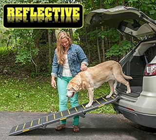 Pet Gear Tri-Fold Portable Pet Ramp for Dogs and Cats, 71