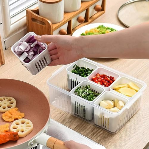Image of 6 Grid Fridge Storage Box with Lid | 250 ML Each Compartment | Plastic Freezer Safe Vegetable & Food Storage Container | Refrigerator Organizer Tray for Veggies, Snacks & Leftovers