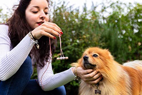 Ludos Ultra Wired Earbuds In-Ear Headphones, 5 Years Warranty, Earphones With Microphone, Noise Isolating Ear Buds, Memory Foam For Iphone, Samsung, School Students, Kids, Women, Small Ears - Pink #TOP3