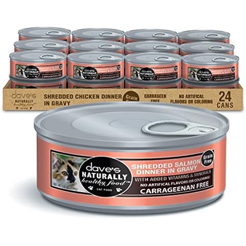 Dave's Pet Food Grain Free Wet Cat Food (Shredded Salmon in Gravy), Made in Canada Naturally Healthy Canned Cat Food, Added Vitamins & Minerals, Wheat & Gluten-Free, GMO-Free, 5.5oz Cans (Case of 24) Cover