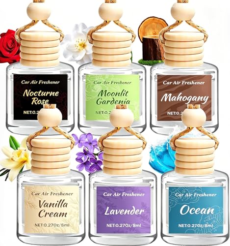 Image of 6 Pack Car Air Freshener, Hanging Essential Oil Air Freshener