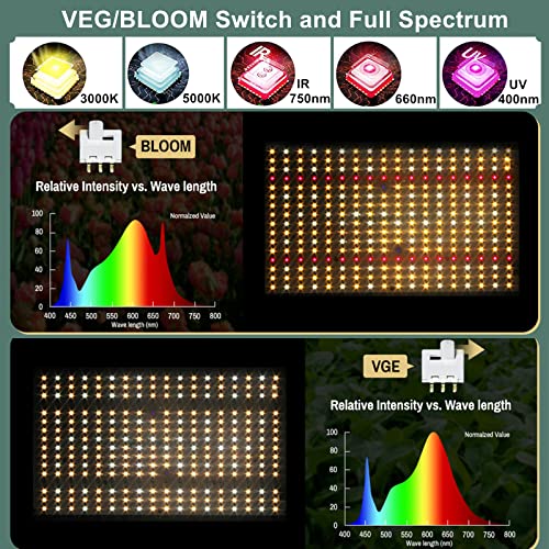 Amazon.com: EnFun LED Grow Light: NEW ARRIVAL