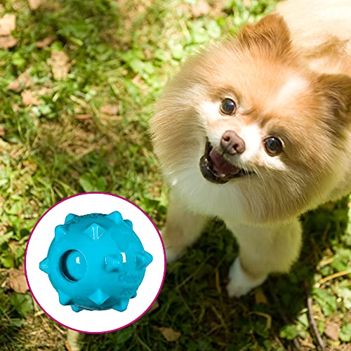 Chase 'N Chomp Dog Amazing Squeaker Ball Toy For Pets, Knobble, 2.5 Inch,Small Breeds #TOP1