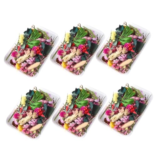 Materiales de Flores Secas para Manualidades y Decoración miniatura 1