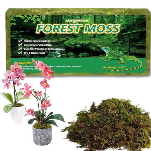 Sphagnum Moss