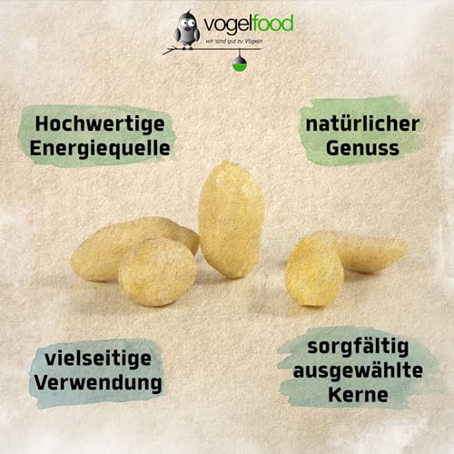 Samore Erdnüsse 10 kg blanchiert ohne Schale halbe und ganze Vogelfutter