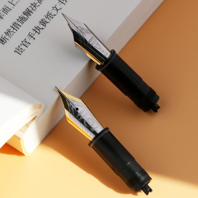Pointes de stylo 6 Da Ming Jian ajustement fluide Q1 Iridium