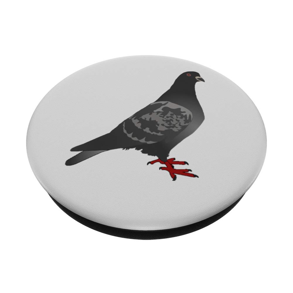 Amazon.com: Pigeon Bird PopSockets PopGrip: Swappable Grip for Phones &  Tablets : Cell Phones & Accessories