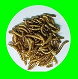 Futtertiere getrocknet